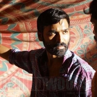 addnewone1234's profile picture. Nothing to Lose