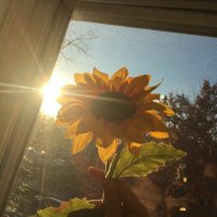iyah (@nashketu) 's Twitter Profile Photo iyah (@nashketu) 's Twitter Profile Photo