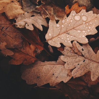 Morray_jay's profile picture. 