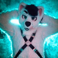 🔞TheWhiteBite (@thewhitebite) 's Twitter Profile