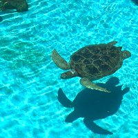 ゆずき (@yu7_ud) 's Twitter Profile