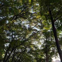 구름 (@_rnfmal) 's Twitter Profile