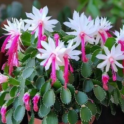 kaptan65950's profile picture. 