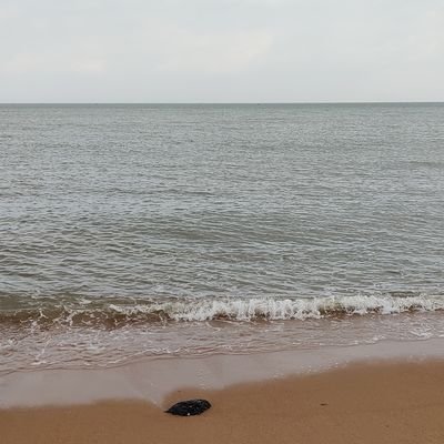 lelezhuibang233's profile picture. 平凡で不思議がない