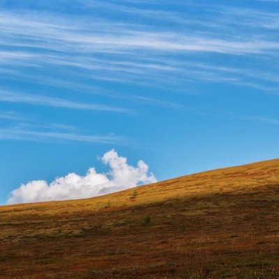 WhatsANameMean's profile picture. Reader