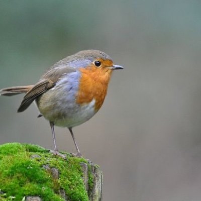 jiemee_w's profile picture. Fighting to win