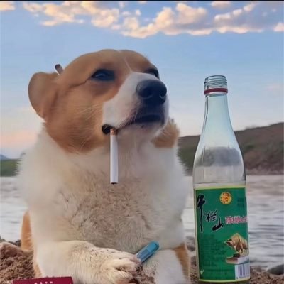 enjoy3321's profile picture. —