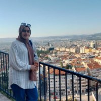 Meryem Soylu (@soylumery) 's Twitter Profile