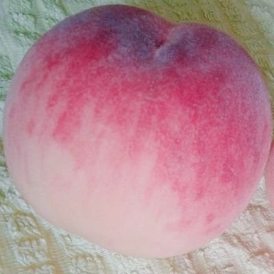pad_onp's profile picture. Let's Go Fighters💪 Love ✨️💍stonegem