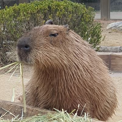 사인클얘기해요/스포주의/구독해요/하말넘많,하와수,여성 관련 언급 있음/헤더:쏘세지님@ssau_ssau_sage