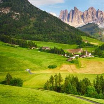 3_kus_annesi's profile picture. 