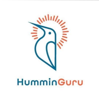 HumminGuru Ultrasonic Vinyl Record Cleaner. Shop at https://t.co/neAVfugamy & ship worldwide.