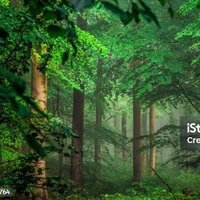 Babupolice (@babusunari) 's Twitter Profile