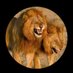 نايف النايف (@nyflnyf) Twitter profile photo نايف النايف (@nyflnyf) Twitter profile photo