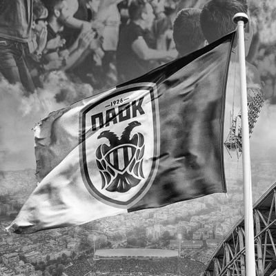 IMp22470282's profile picture. 