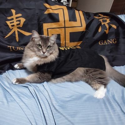 riomama310's profile picture. 東京リベンジャーズ沼にハマり、せっせと推し活中。マイキー推し。
昭和♀です。