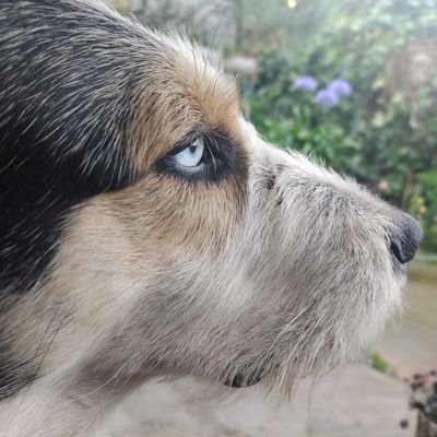 'Hasta la oscuridad es pasajera'
En busca de las papitas potin.