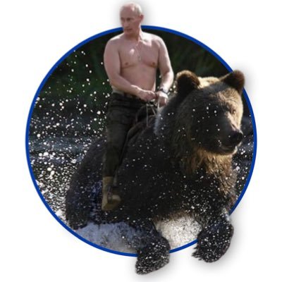 Putin Validus Profile