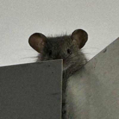 soyb3anie's profile picture. 27. Ⓥ. ccc-slp. (she/her). ♎︎☉ | ♈︎☽ | ♋︎↑.