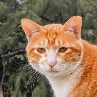 墨川 (@sebastian114811) 's Twitter Profile
