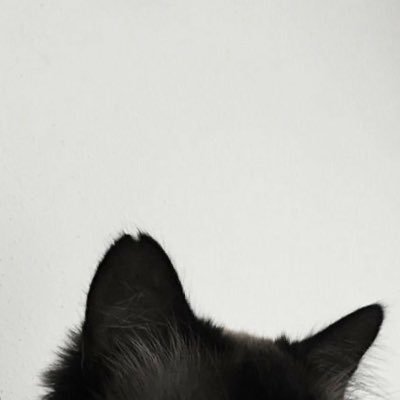 LLewisiaa's profile picture. 