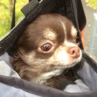 FREAKS MARKET (@freaks_market) 's Twitter Profile