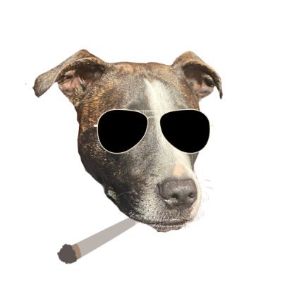 Charlie Bullet $BULLET - The Naughtiest Staffy on Solana | TG @CharlieBulletPortal