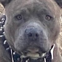 🆁🅾🅲🅺 (@rocktb12) 's Twitter Profile