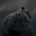 TAI LUNG (@sesch_) Twitter profile photo TAI LUNG (@sesch_) Twitter profile photo