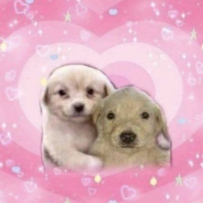 샴키さんのプロフィール画像