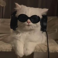 01 (@_hakunamtata) Twitter profile photo