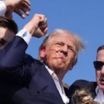 NeverGoFullLibt's profile picture. Let's Go Giants!!
#MAGA
#Giants            

Liberals don't have TDS, they're just stupid.

Pronouns:  Fuck / You