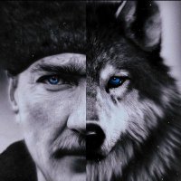 Nilay (@nlyaltunay) Twitter profile photo