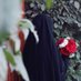 نگارین (@fatemeh_13845) Twitter profile photo