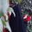 fatemeh_13845's profile image