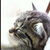 たけ (@takezou0709) Twitter profile photo