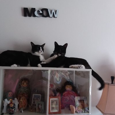 Lgl725's profile picture. 