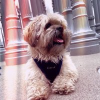 aldogomez (@aldogomez) 's Twitter Profile Photo aldogomez (@aldogomez) 's Twitter Profile Photo