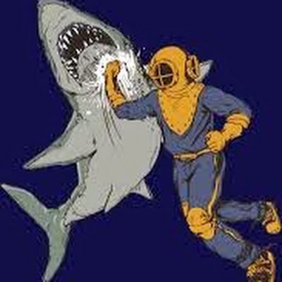 EvilRollo's profile picture. the evil one
professional goblin
he/they