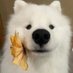 ใ (@hanhan1551) Twitter profile photo ใ (@hanhan1551) Twitter profile photo