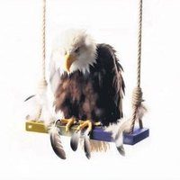 Onur (@kedimjuliet) Twitter profile photo