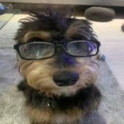 CarlosL97810583's profile picture. 