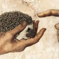 Senem Alemdağ (@kirpi_mesafesi) Twitter profile photo