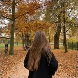 Sewsnism6FNV's profile picture. 