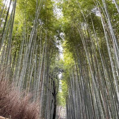 Af822_23_24's profile picture. 