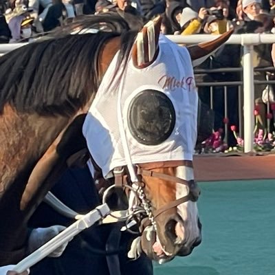 kaociao516's profile picture. 近頃はラジオNIKKEIを好んで聴いてます