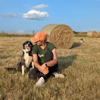 Ashleigh (@ashleighfen) 's Twitter Profile Photo Ashleigh (@ashleighfen) 's Twitter Profile Photo
