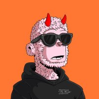 PaulieDefi (@pauliedefi) 's Twitter Profile