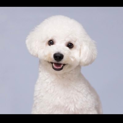 日本橋エリアにファミリー区分を購入、投資物件も保有。追加購入に向け日夜パトロール◾️一級建築士◾️日本橋周辺のPRと不動産関連情報を発信◾️高コスパ店•商品を紹介◾️マンション×エンタメ