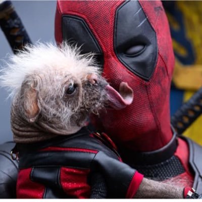 AndrushaA4's profile picture. New England - USA - Interested in world politics, Armenia, Finance, and making the global community a decent place. Enjoy video games as well :)